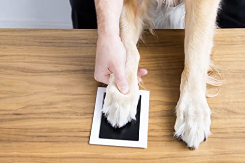 Pearhead 4-Pack Inkless Handprint Pawprint Kit