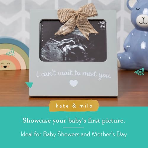Kate Milo Sonogram Photo Frame Gray