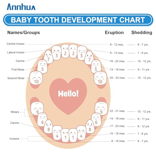 Annhua Wooden Baby Tooth Keepsake Box for Kids