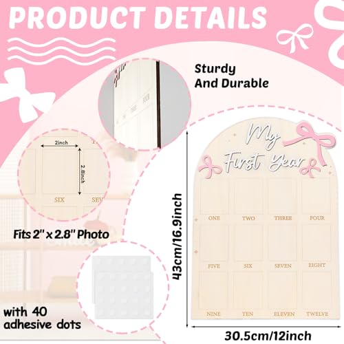 Pink Bow First Year Milestone Photo Board Decor