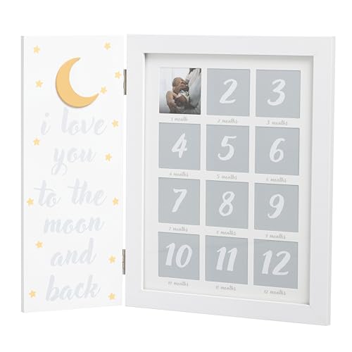 Little Blossoms My First Year Hinged Picture Frame