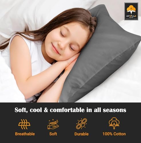 Toddler Travel Pillowcase Set of 2 Dark Grey
