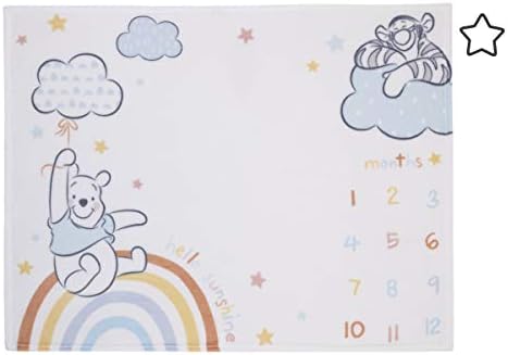Disney Winnie The Pooh Milestone Baby Blanket