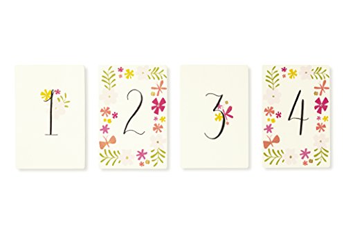 Kate Spade Baby Photo Props for First Year