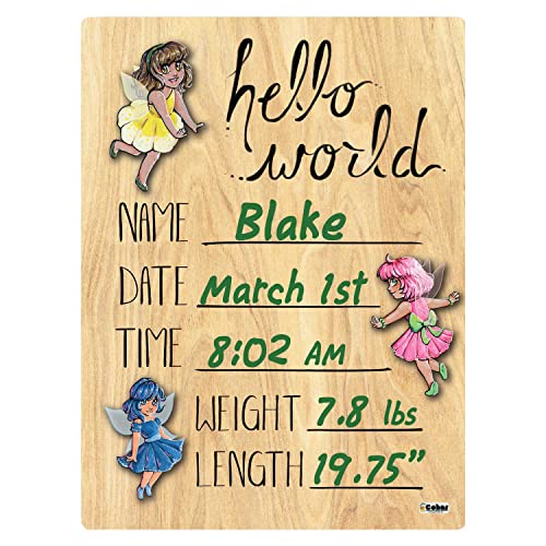 Cohas Fairy Welcome Baby Announcement Wood Sign 9x12 Green Marker