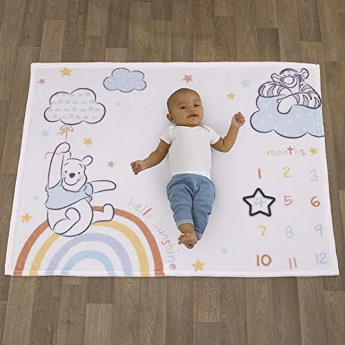 Disney Winnie The Pooh Milestone Baby Blanket