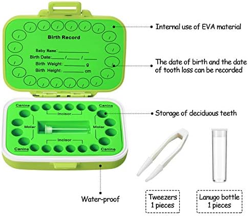 Jetec Baby Tooth Box Keepsake Organizer Green