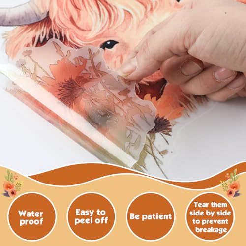 Yinder 12 Sheet 78 Pcs Highland Cow Wall Decals 1