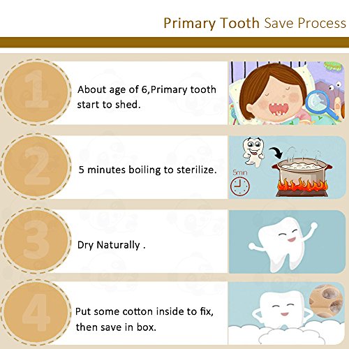 PAMBO Baby Tooth Box Keepsake for Girls 1