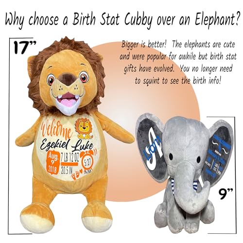 Baby Birth Stats Plush - Personalized Keepsake for Newborns