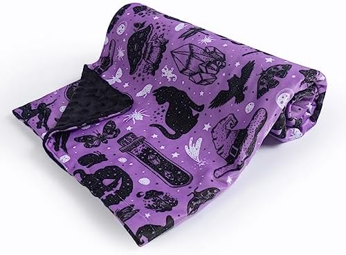 Donsonny Halloween Witch Baby Blanket 30x40 Inch Soft Minky