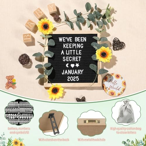 OFUSUY 11 Pcs Pregnancy Announcement Set 1