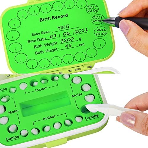 Jetec Baby Tooth Box Keepsake Organizer Green