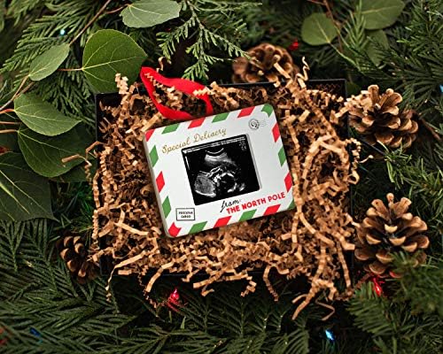 Pearhead Special Delivery Sonogram Ornament Pack of 2
