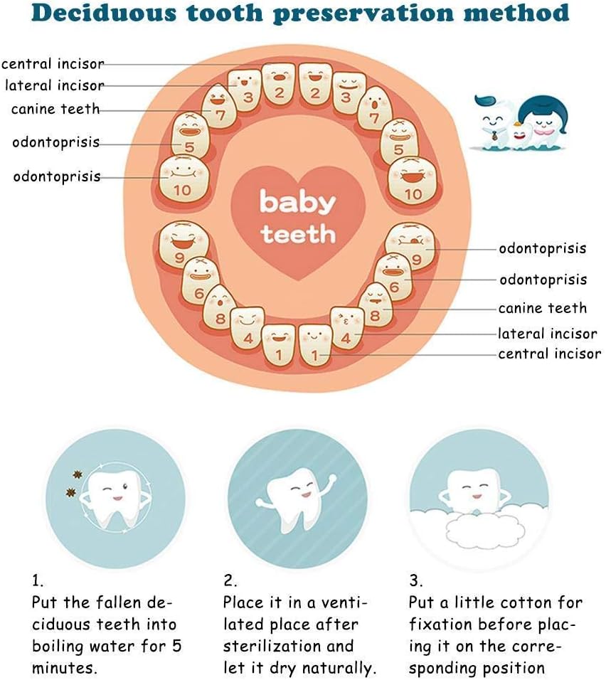 Esweny Baby Tooth Box with Photo Frame and Lock Design