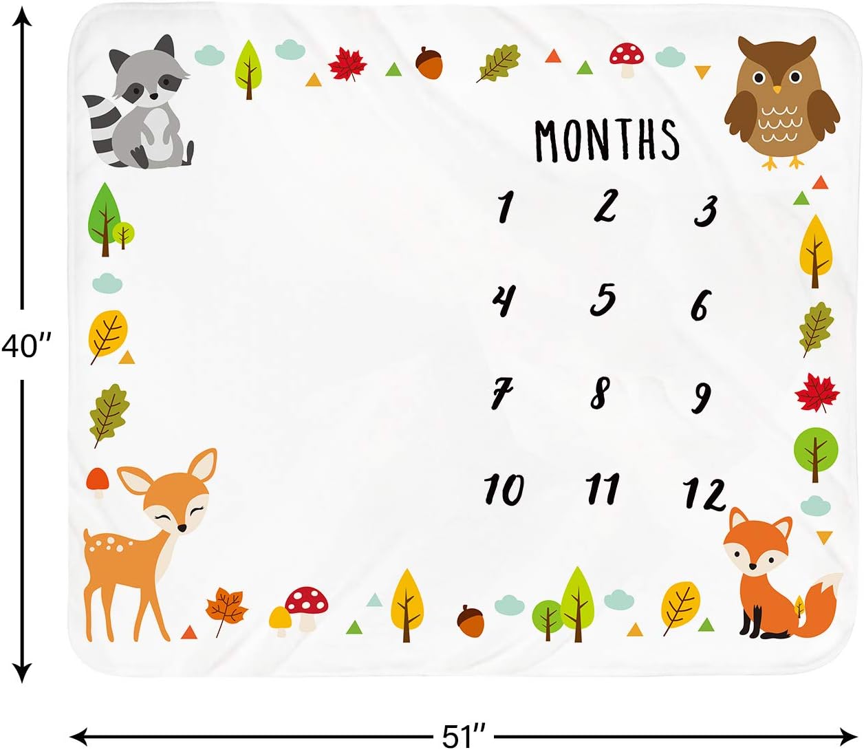 Tebaby Baby Monthly Milestone Blanket - 51x40 Inch Unisex Growth Chart Blanket