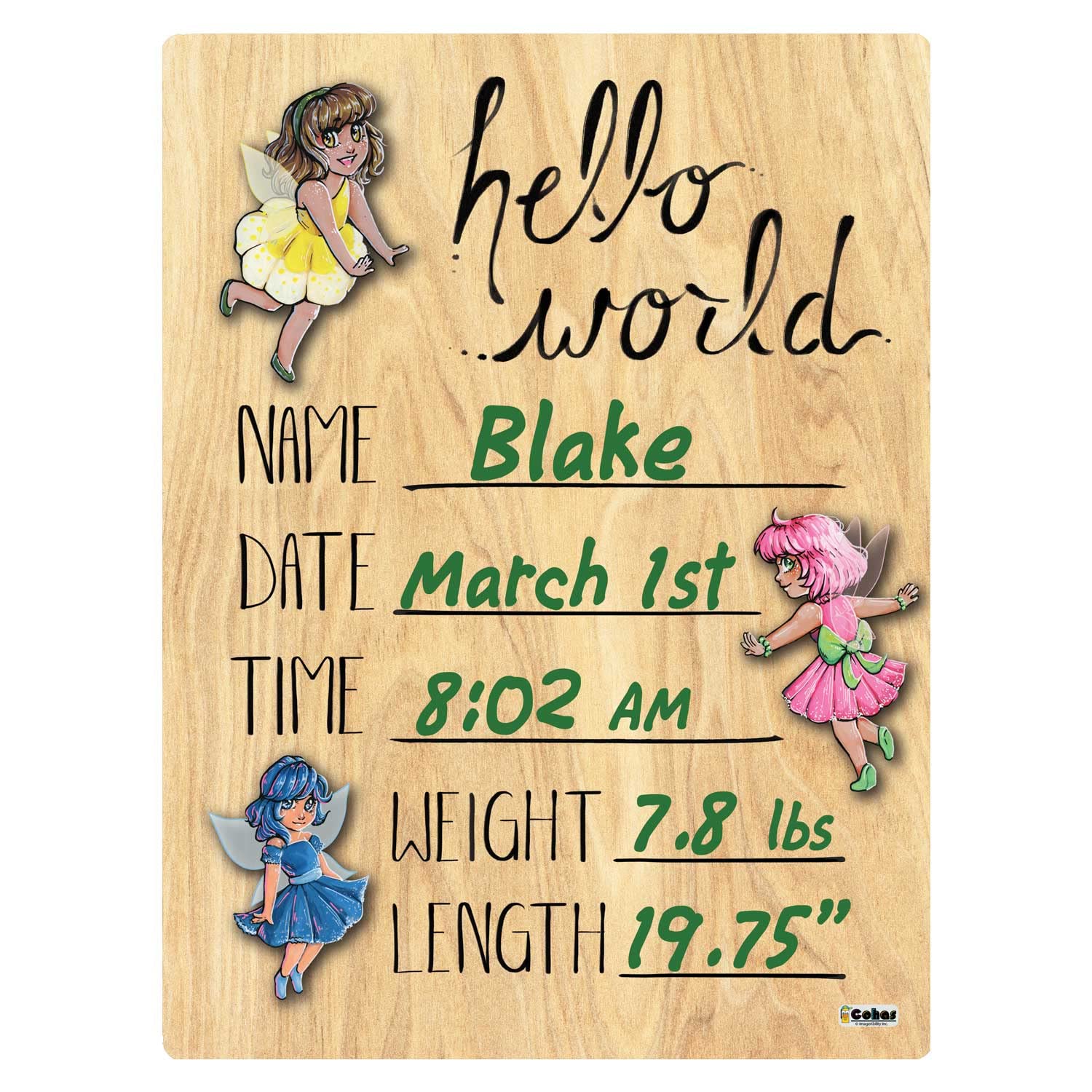 Cohas Fairy Welcome Baby Announcement Wood Sign 9x12 Green Marker