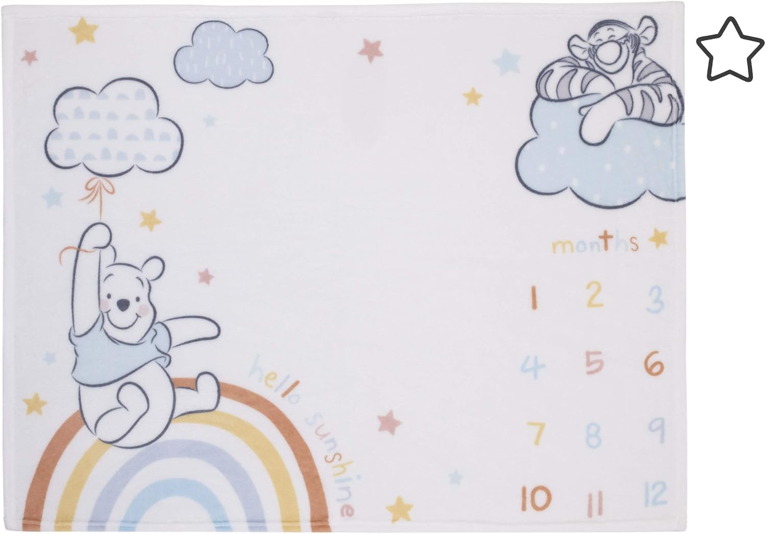 Disney Winnie The Pooh Milestone Baby Blanket