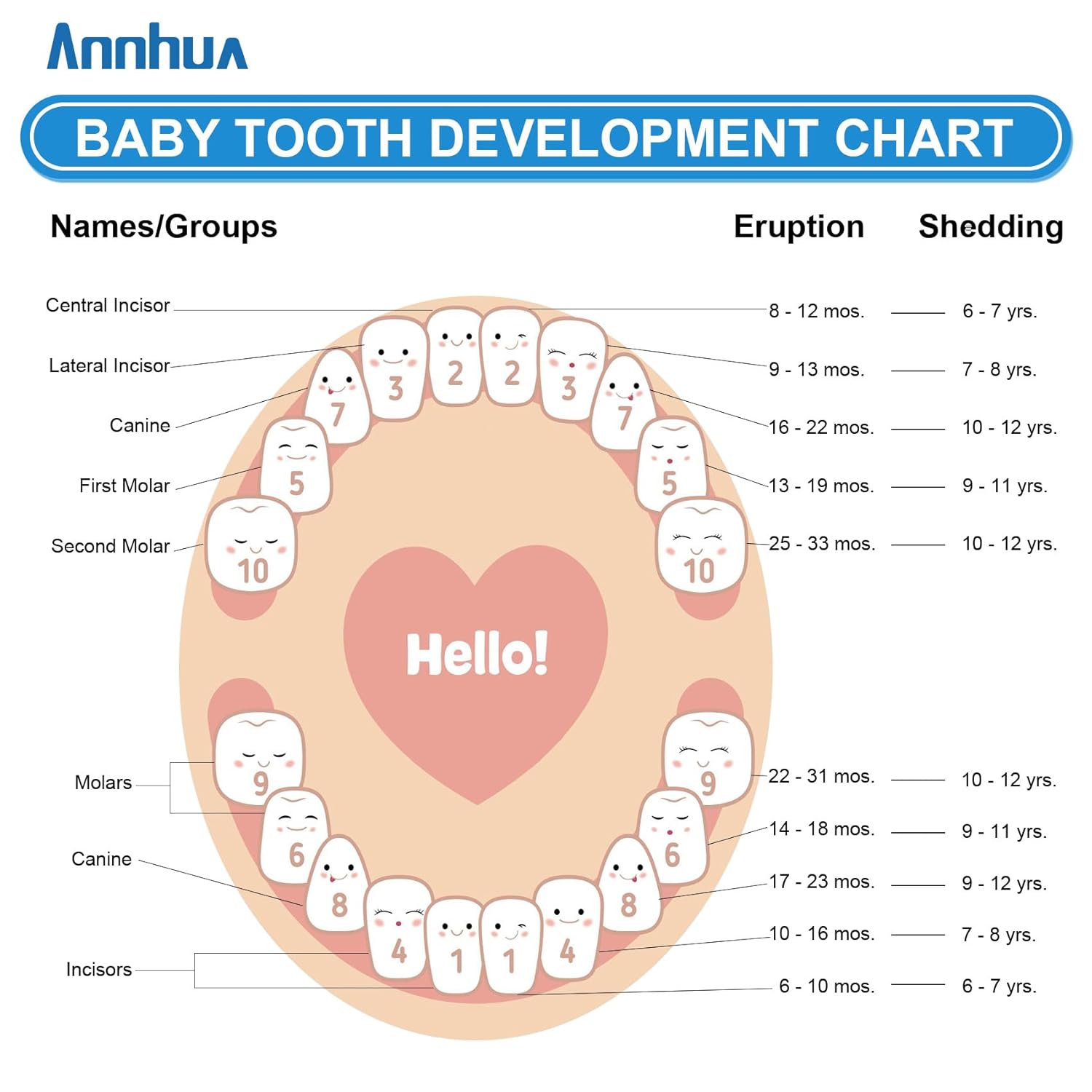 Annhua Wooden Baby Tooth Keepsake Box for Kids