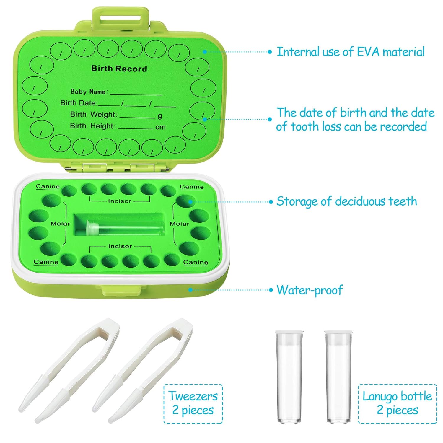 Jetec Baby Teeth Keepsake Box Set Green Blue