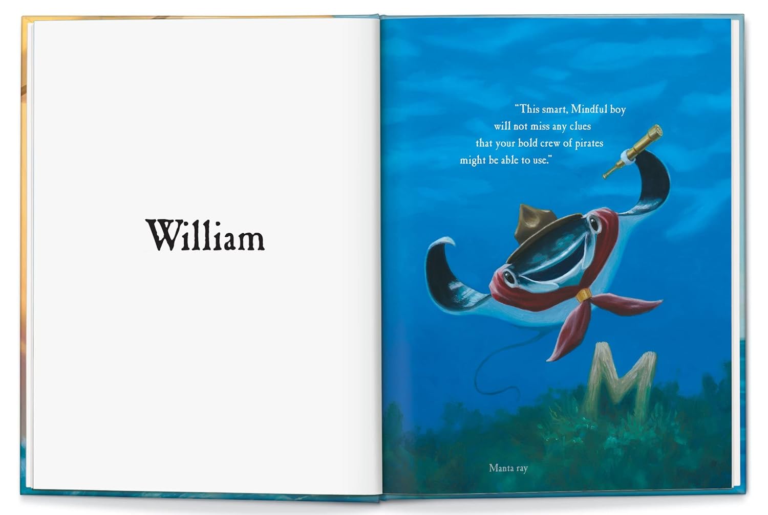 Personalized Pirate Story Book for Kids - I See Me Hardcover Keepsake