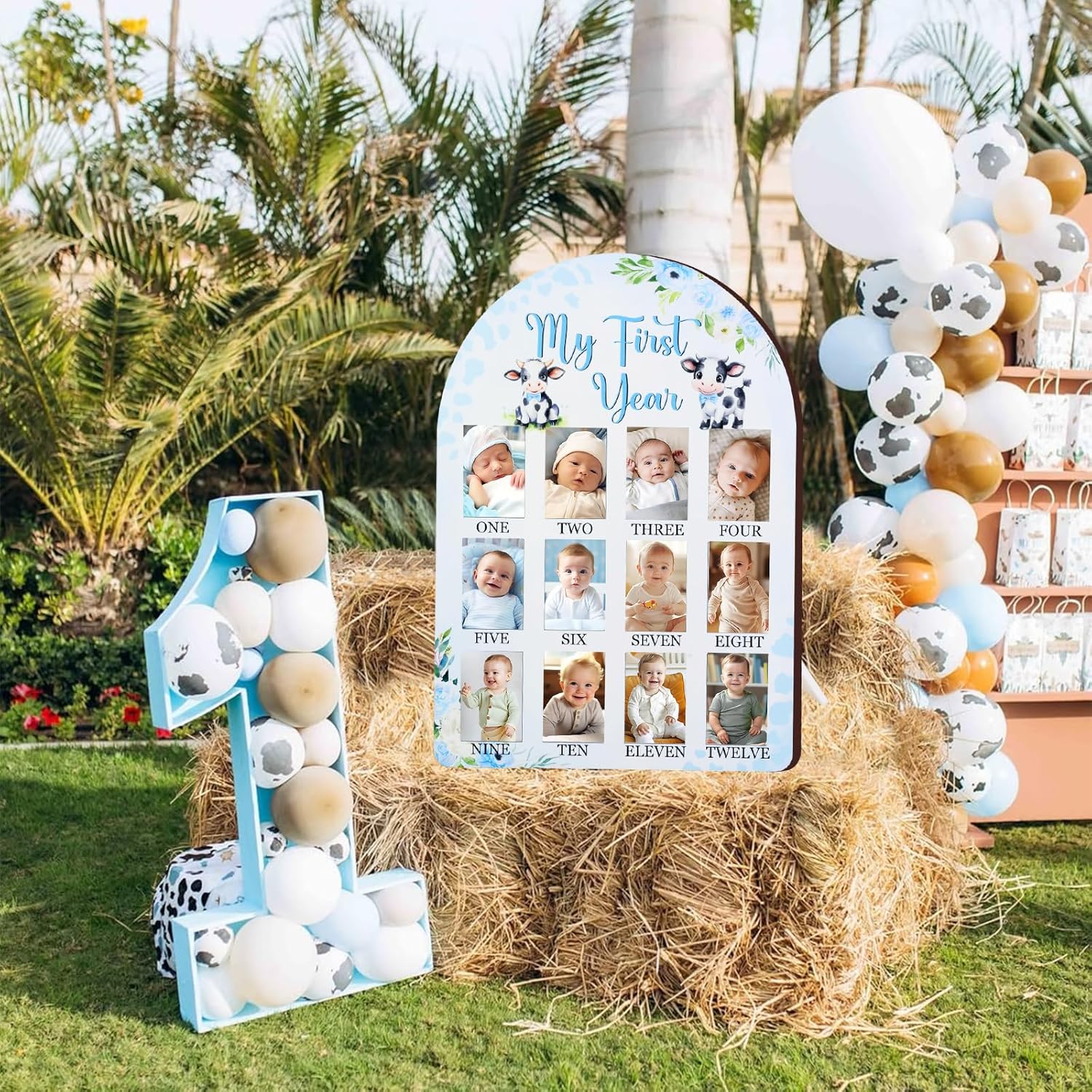 Cheerupp Cow Themed 1st Year Photo Frame Blue Baby Milestone Display