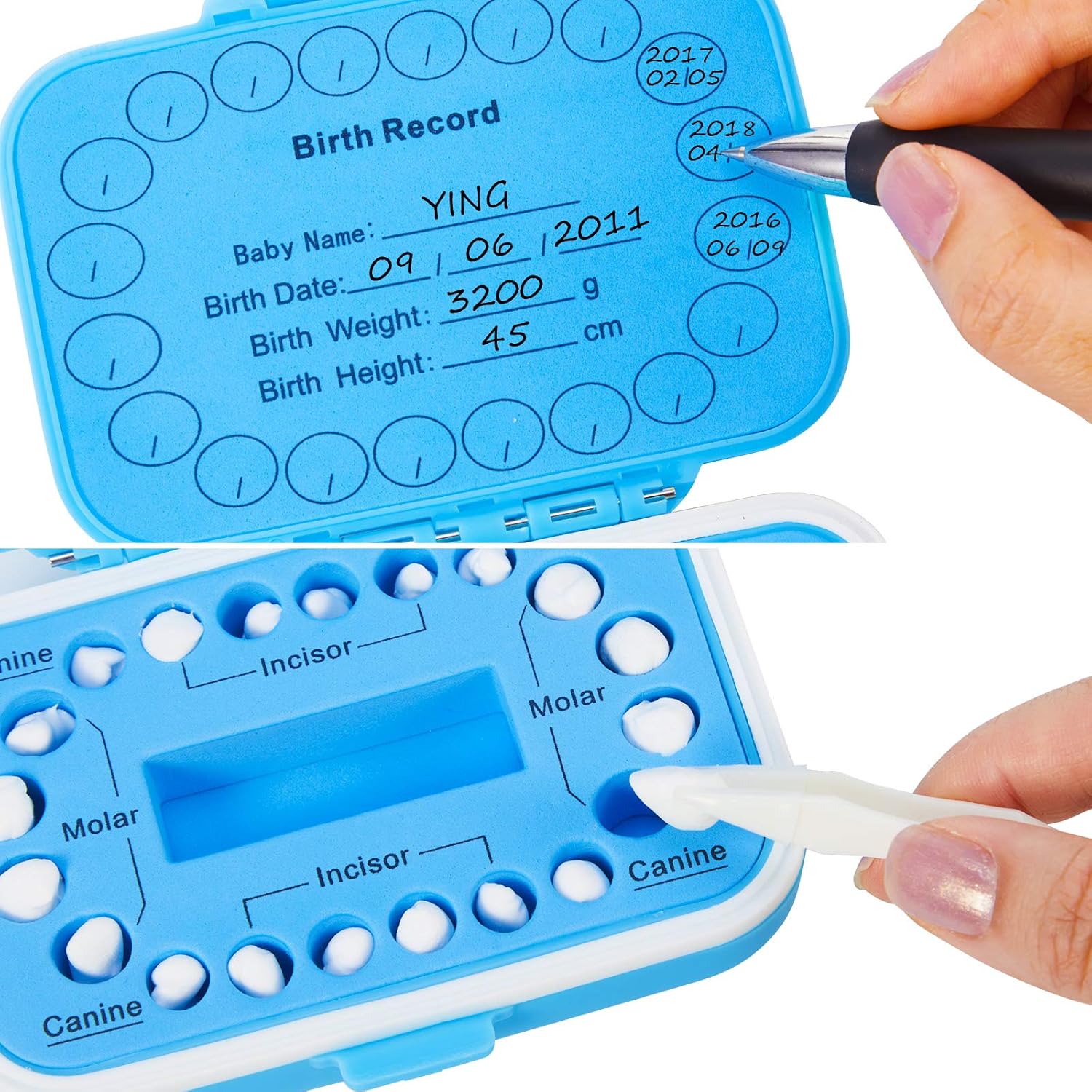 Jetec Baby Teeth Keepsake Box Set Green Blue