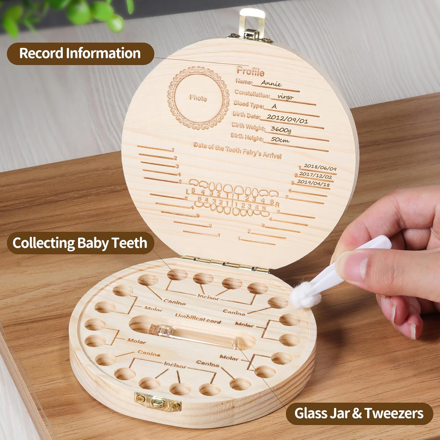 Annhua Wooden Baby Teeth Keepsake Box with Tweezer and Fetal Hair Container