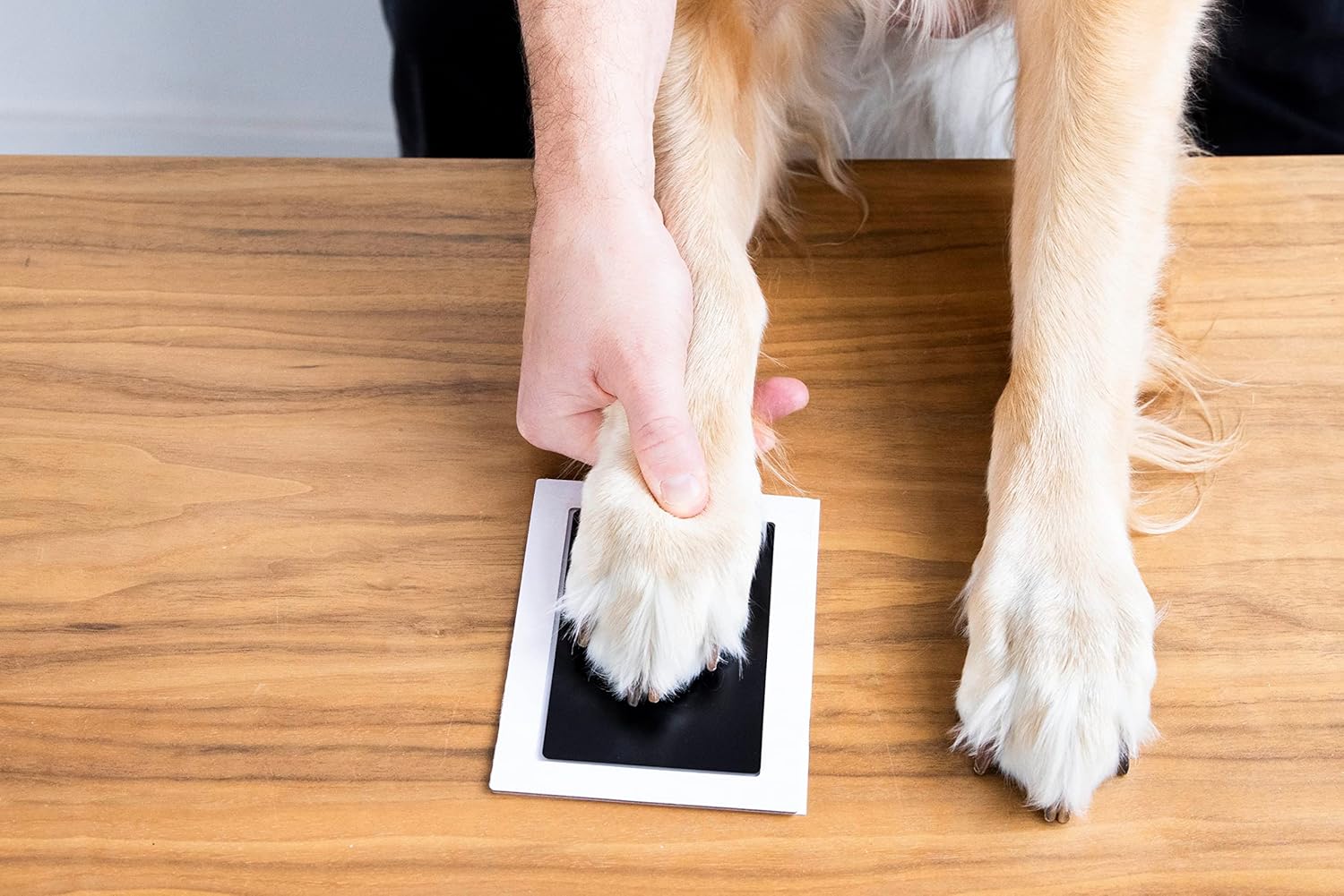 Pearhead 4-Pack Inkless Handprint Pawprint Kit