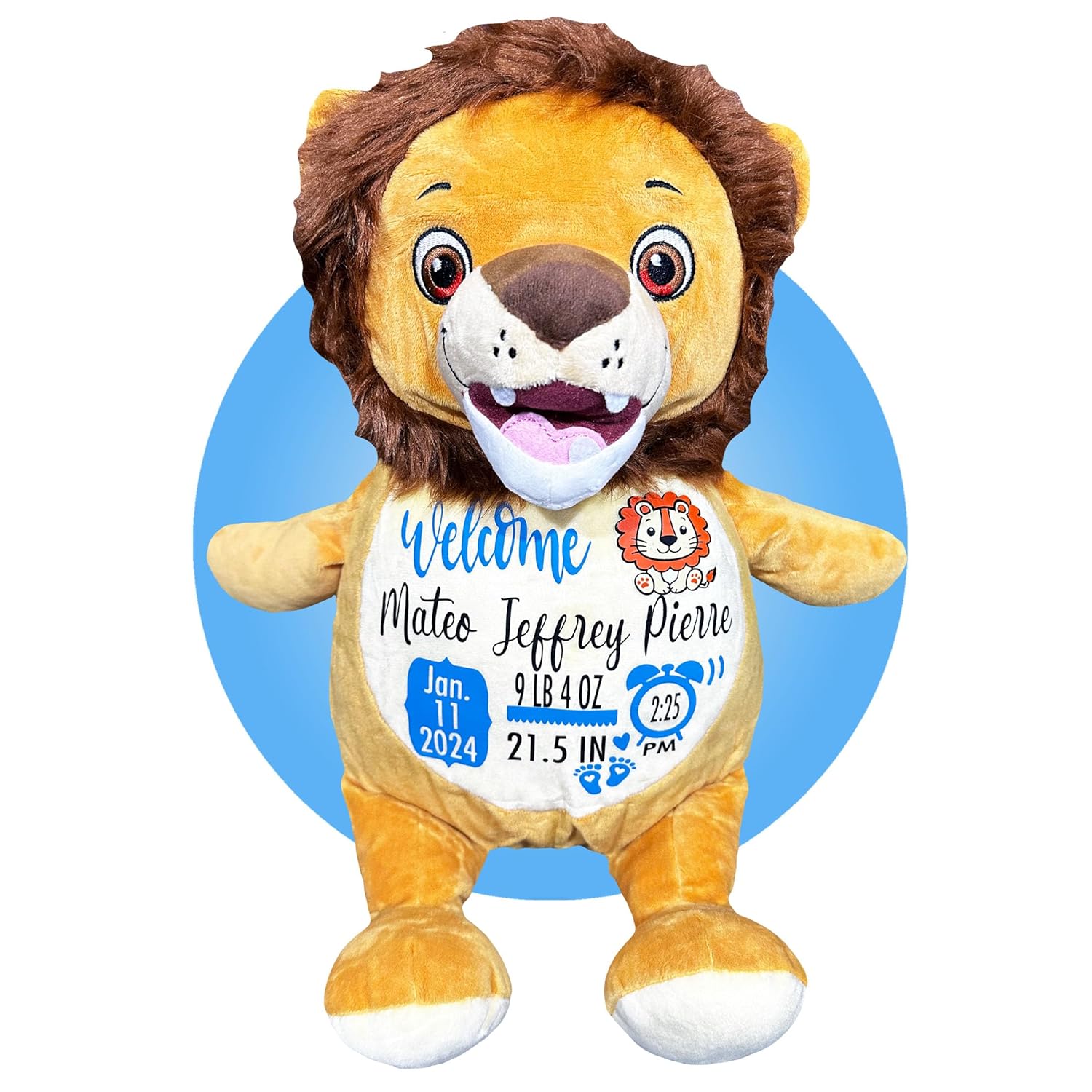 Baby Birth Stats Plush - Personalized Keepsake for Newborns