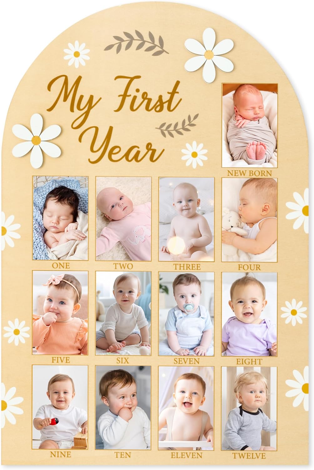 R HORSE First Year Milestone Wooden Board