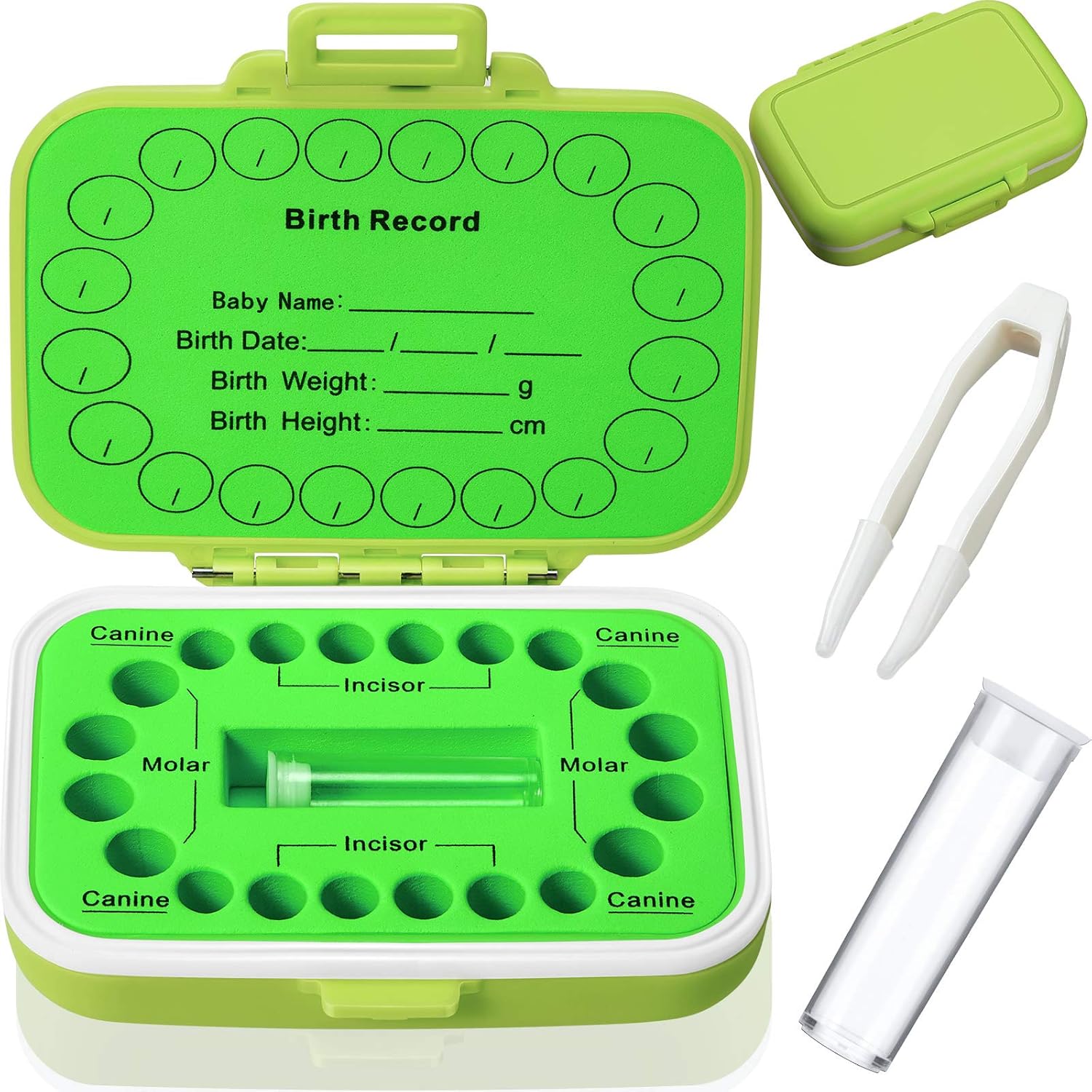 Jetec Baby Tooth Box Keepsake Organizer Green