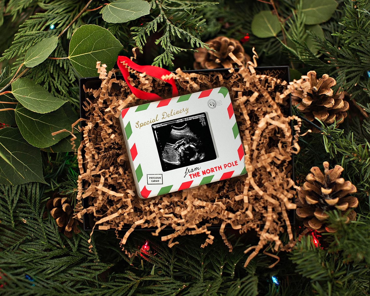 Pearhead Special Delivery Sonogram Ornament Pack of 2